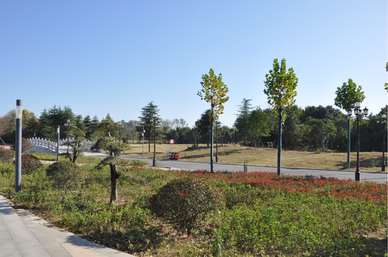 禹州市森林植物園